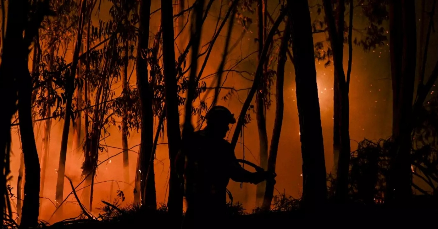 L'Europe se prépare à des incendies de forêt