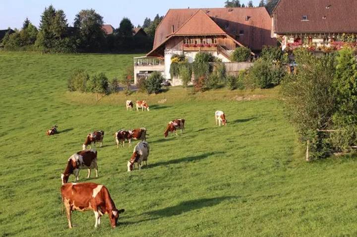 La Suisse importe du fromage